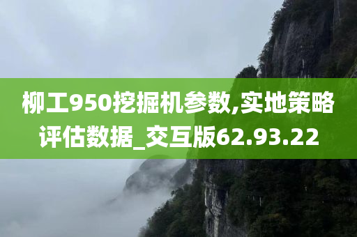 柳工950挖掘机参数,实地策略评估数据_交互版62.93.22