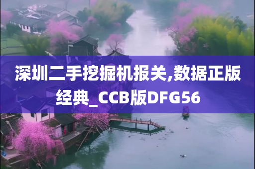 深圳二手挖掘机报关,数据正版经典_CCB版DFG56