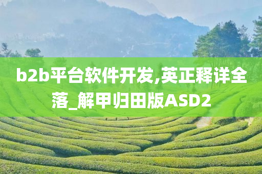 b2b平台软件开发,英正释详全落_解甲归田版ASD2