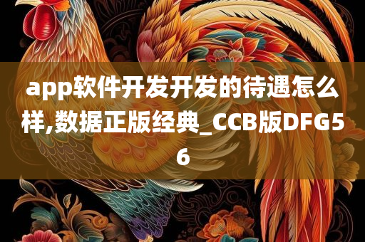 app软件开发开发的待遇怎么样,数据正版经典_CCB版DFG56