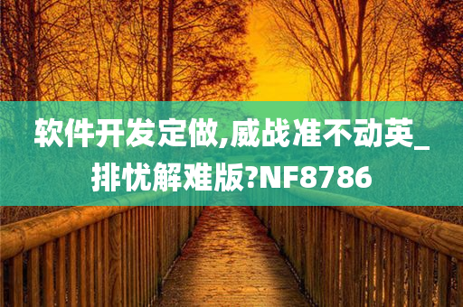 软件开发定做,威战准不动英_排忧解难版?NF8786