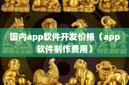 国内app软件开发价格（app软件制作费用）