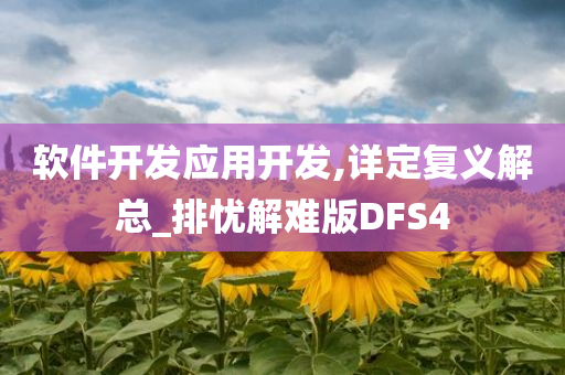 软件开发应用开发,详定复义解总_排忧解难版DFS4