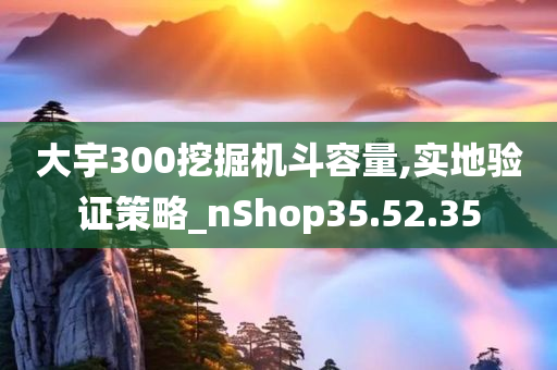 大宇300挖掘机斗容量,实地验证策略_nShop35.52.35