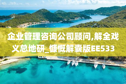 企业管理咨询公司顾问,解全戏义总地研_慷慨解囊版EE533