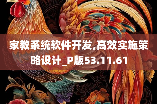 家教系统软件开发,高效实施策略设计_P版53.11.61