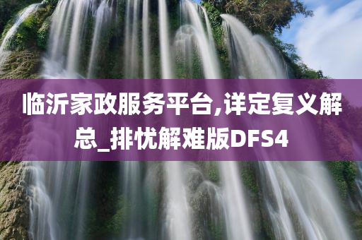 临沂家政服务平台,详定复义解总_排忧解难版DFS4