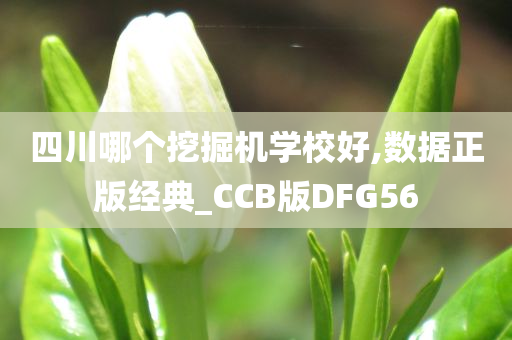 四川哪个挖掘机学校好,数据正版经典_CCB版DFG56