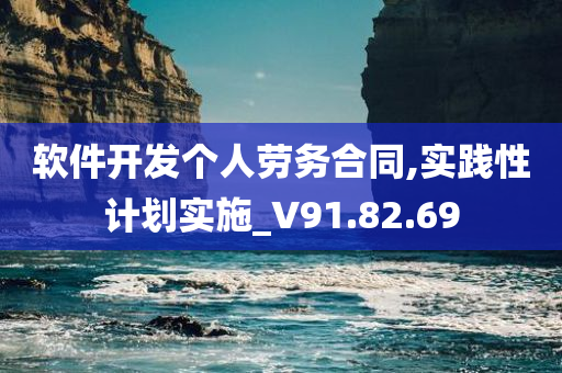 软件开发个人劳务合同,实践性计划实施_V91.82.69