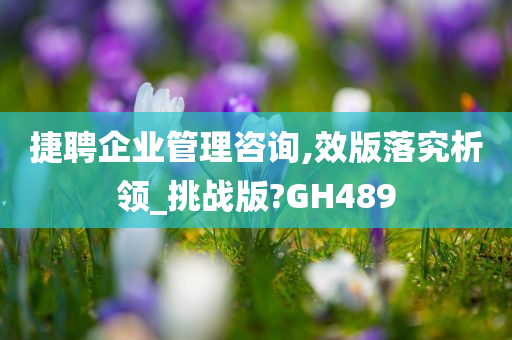 捷聘企业管理咨询,效版落究析领_挑战版?GH489