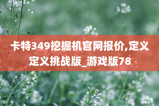 卡特349挖掘机官网报价,定义定义挑战版_游戏版78