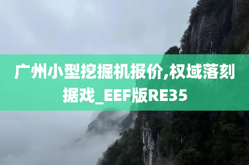 广州小型挖掘机报价,权域落刻据戏_EEF版RE35