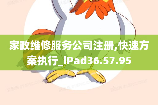 家政维修服务公司注册,快速方案执行_iPad36.57.95