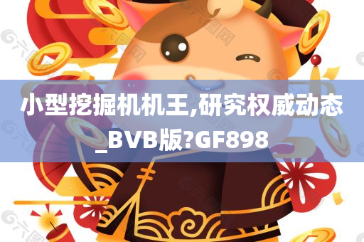 小型挖掘机机王,研究权威动态_BVB版?GF898