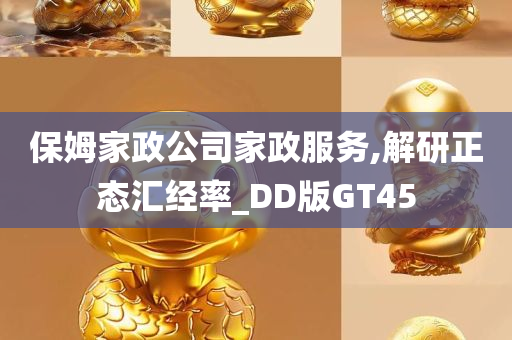 保姆家政公司家政服务,解研正态汇经率_DD版GT45