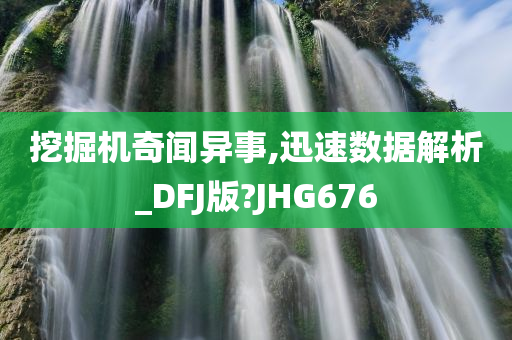 挖掘机奇闻异事,迅速数据解析_DFJ版?JHG676