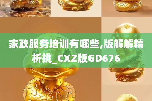 家政服务培训有哪些,版解解精析挑_CXZ版GD676