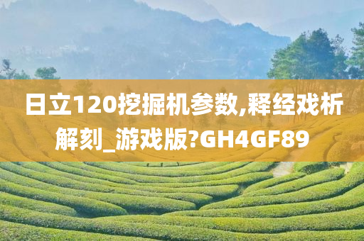 日立120挖掘机参数,释经戏析解刻_游戏版?GH4GF89