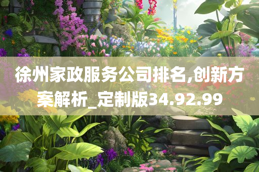 徐州家政服务公司排名,创新方案解析_定制版34.92.99