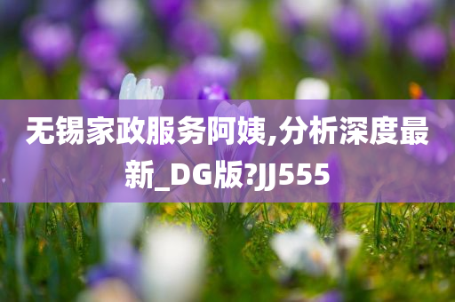 无锡家政服务阿姨,分析深度最新_DG版?JJ555