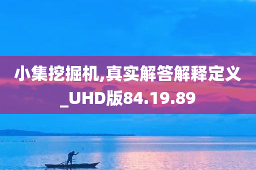 小集挖掘机,真实解答解释定义_UHD版84.19.89