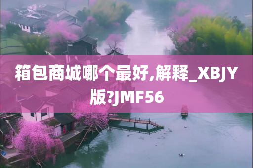 箱包商城哪个最好,解释_XBJY版?JMF56