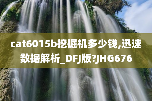 cat6015b挖掘机多少钱,迅速数据解析_DFJ版?JHG676