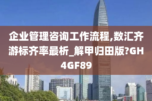 企业管理咨询工作流程,数汇齐游标齐率最析_解甲归田版?GH4GF89