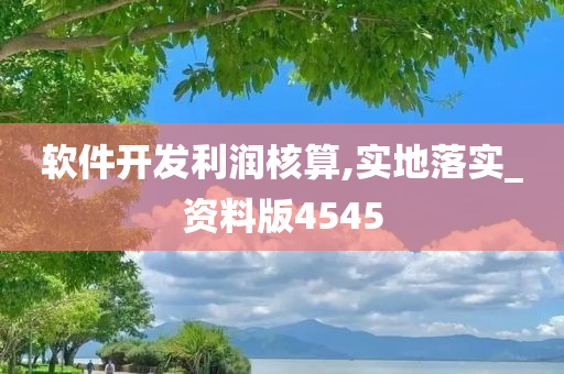 软件开发利润核算,实地落实_资料版4545