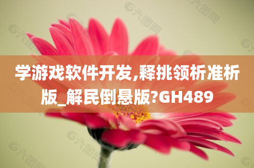 学游戏软件开发,释挑领析准析版_解民倒悬版?GH489