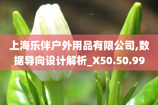 上海乐伴户外用品有限公司,数据导向设计解析_X50.50.99