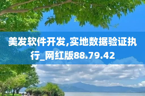 美发软件开发,实地数据验证执行_网红版88.79.42