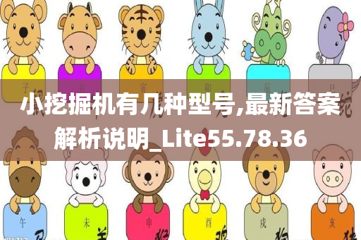 小挖掘机有几种型号,最新答案解析说明_Lite55.78.36