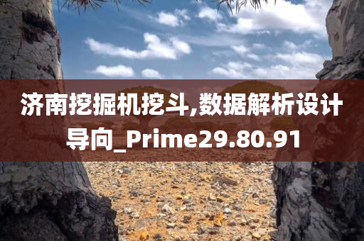 济南挖掘机挖斗,数据解析设计导向_Prime29.80.91