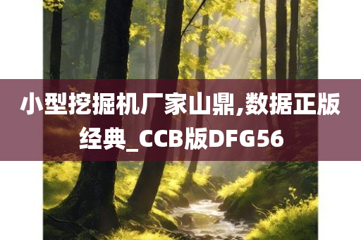 小型挖掘机厂家山鼎,数据正版经典_CCB版DFG56