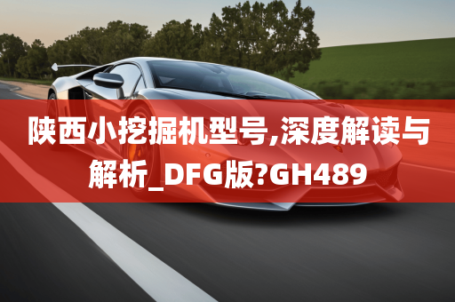 陕西小挖掘机型号,深度解读与解析_DFG版?GH489