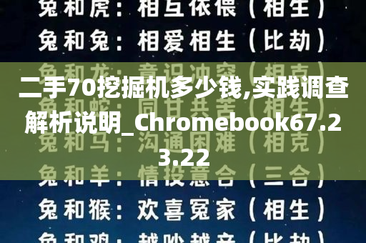 二手70挖掘机多少钱,实践调查解析说明_Chromebook67.23.22