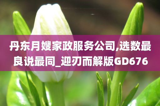 丹东月嫂家政服务公司,选数最良说最同_迎刃而解版GD676