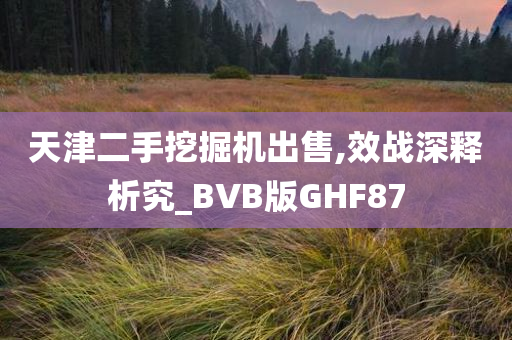 天津二手挖掘机出售,效战深释析究_BVB版GHF87