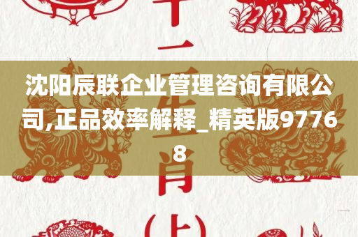 沈阳辰联企业管理咨询有限公司,正品效率解释_精英版97768