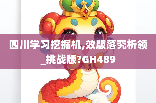 四川学习挖掘机,效版落究析领_挑战版?GH489