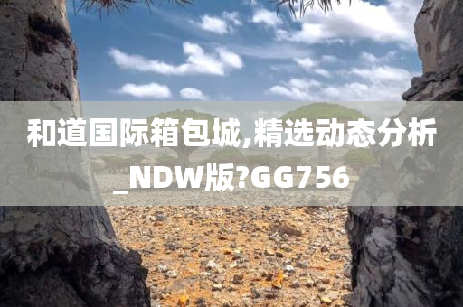 和道国际箱包城,精选动态分析_NDW版?GG756