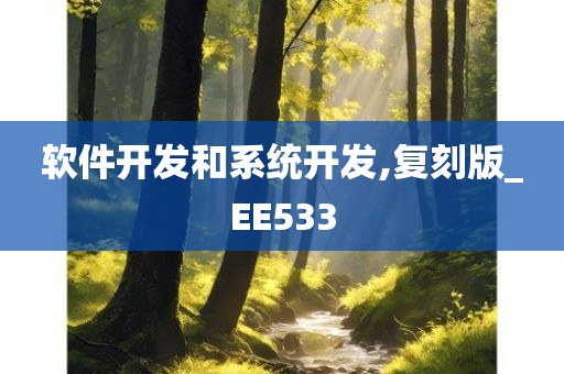 软件开发和系统开发,复刻版_EE533