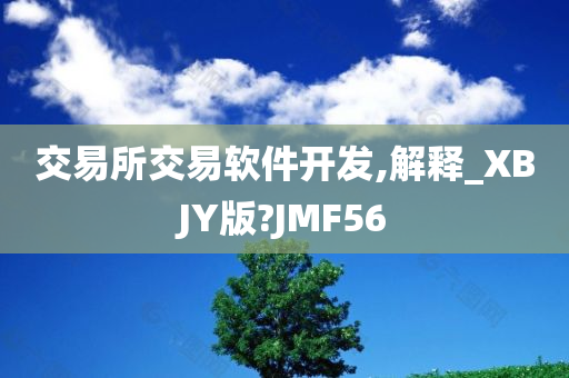 交易所交易软件开发,解释_XBJY版?JMF56