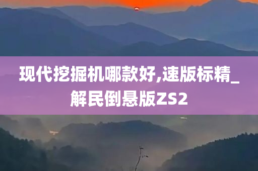 现代挖掘机哪款好,速版标精_解民倒悬版ZS2