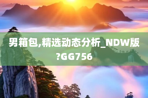 男箱包,精选动态分析_NDW版?GG756