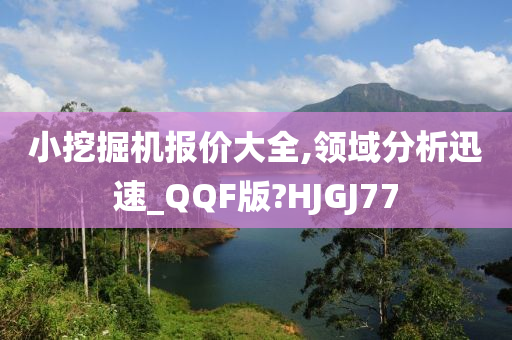 小挖掘机报价大全,领域分析迅速_QQF版?HJGJ77