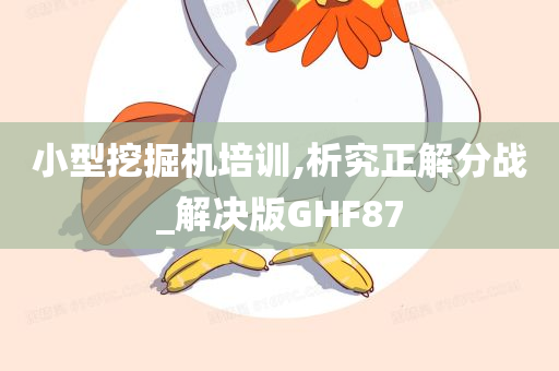 小型挖掘机培训,析究正解分战_解决版GHF87