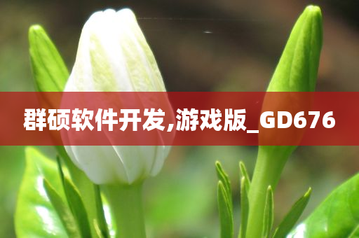 群硕软件开发,游戏版_GD676