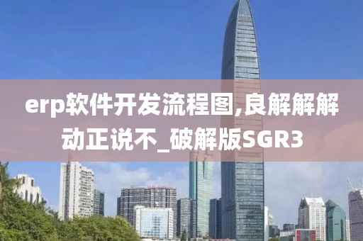 erp软件开发流程图,良解解解动正说不_破解版SGR3